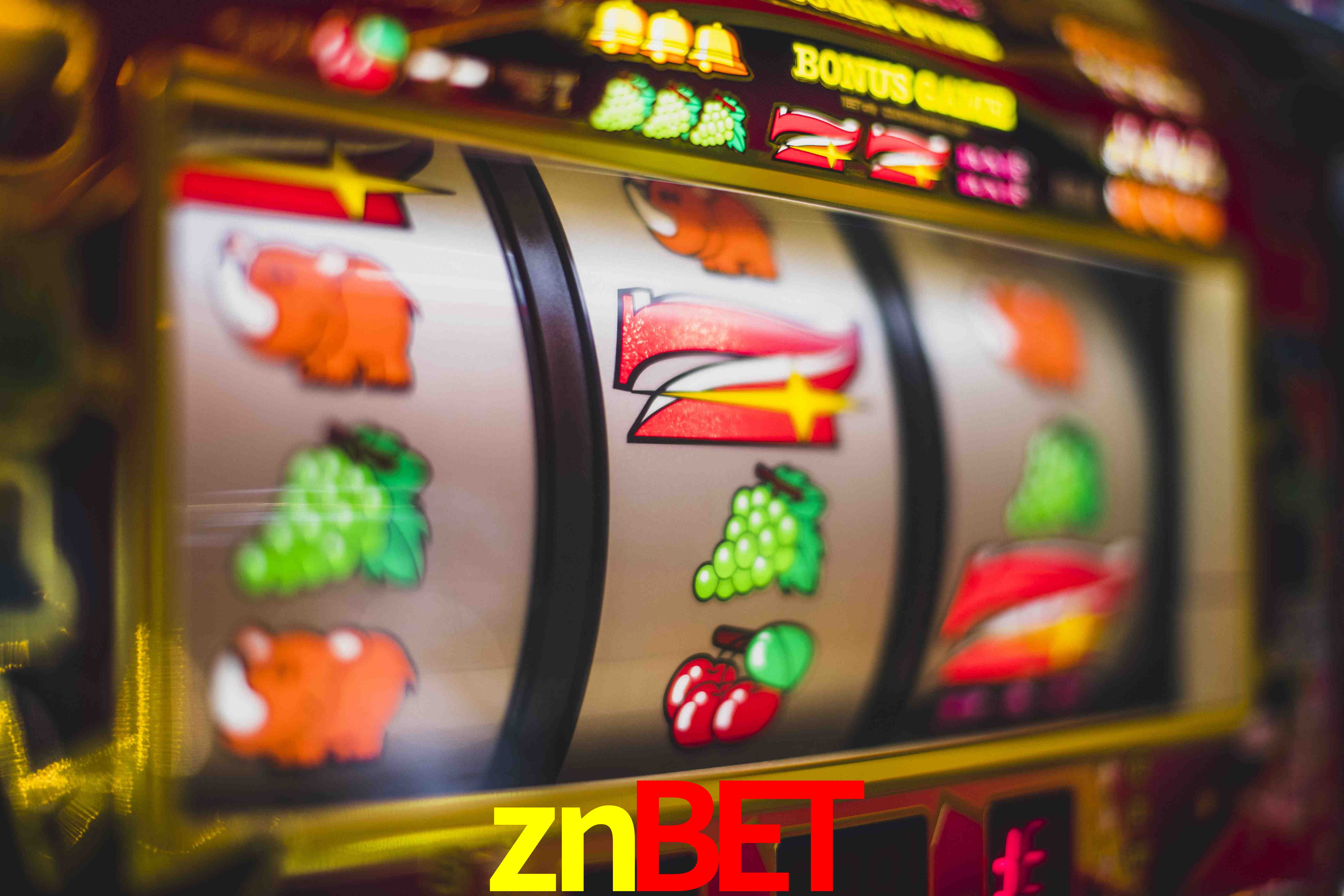 Sports Statistics znbet