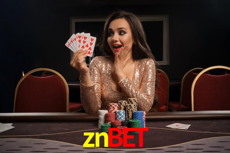 Interface Premium znbet