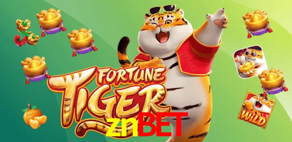 Player Reviews znbet